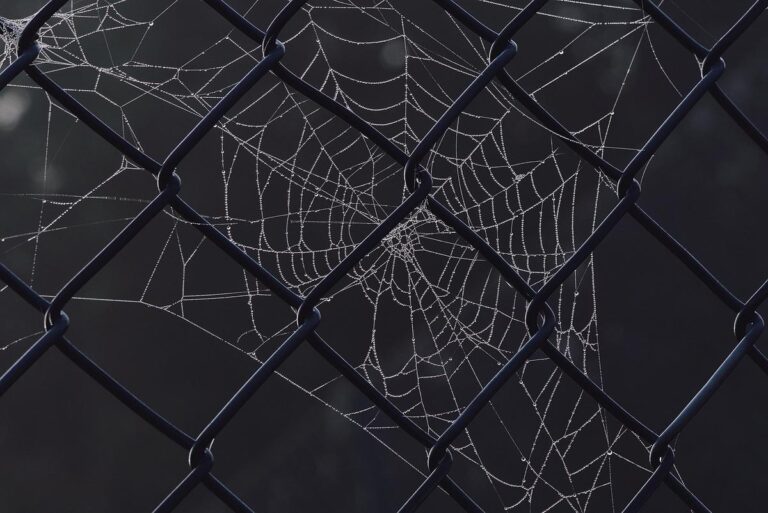 CrateDB cuts AI data latency from minutes to milliseconds